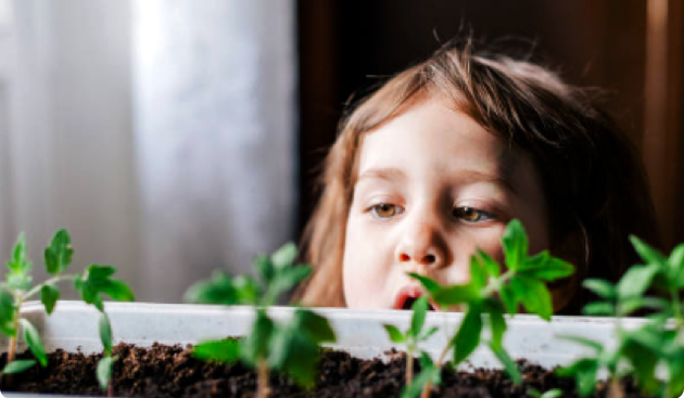 Young child looking over at some plants